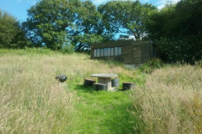 Stags View,Unique eco cabin, Dartmoor views